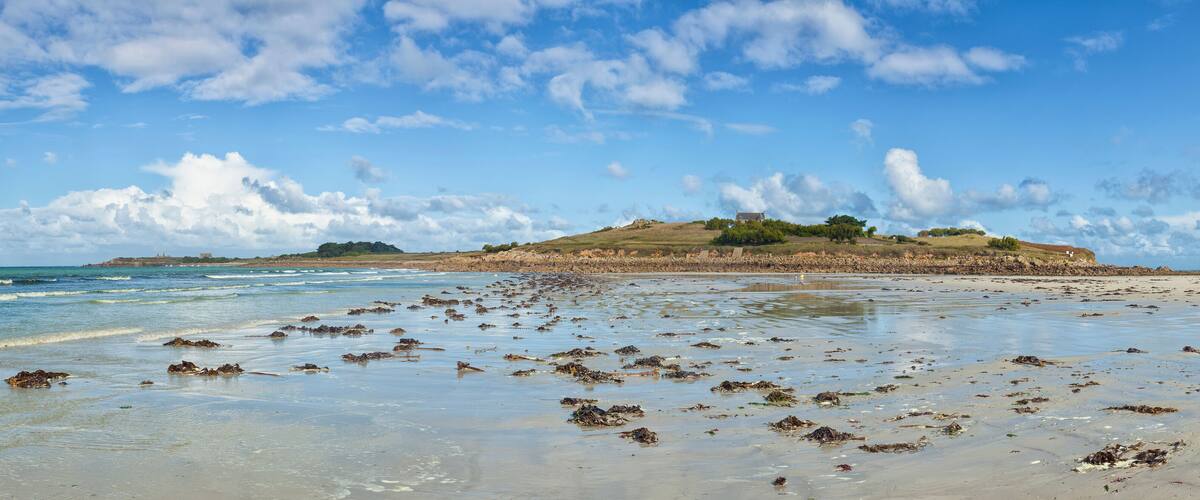 A beach with seaweed on the shore and a hill with ruins in the background.