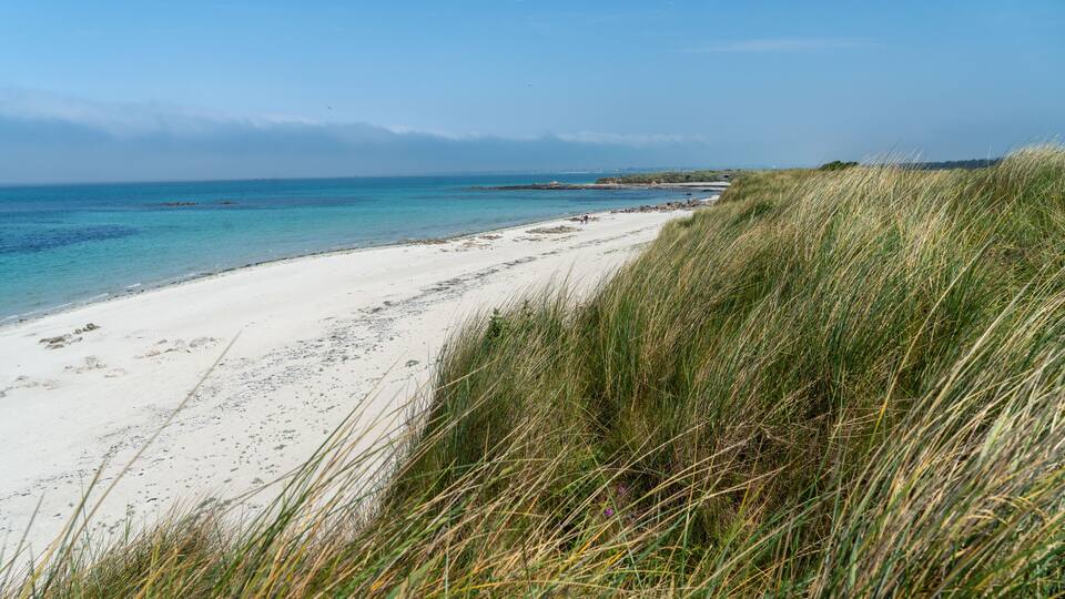 A beach with white sand, clear blue water, and grassy dunes.