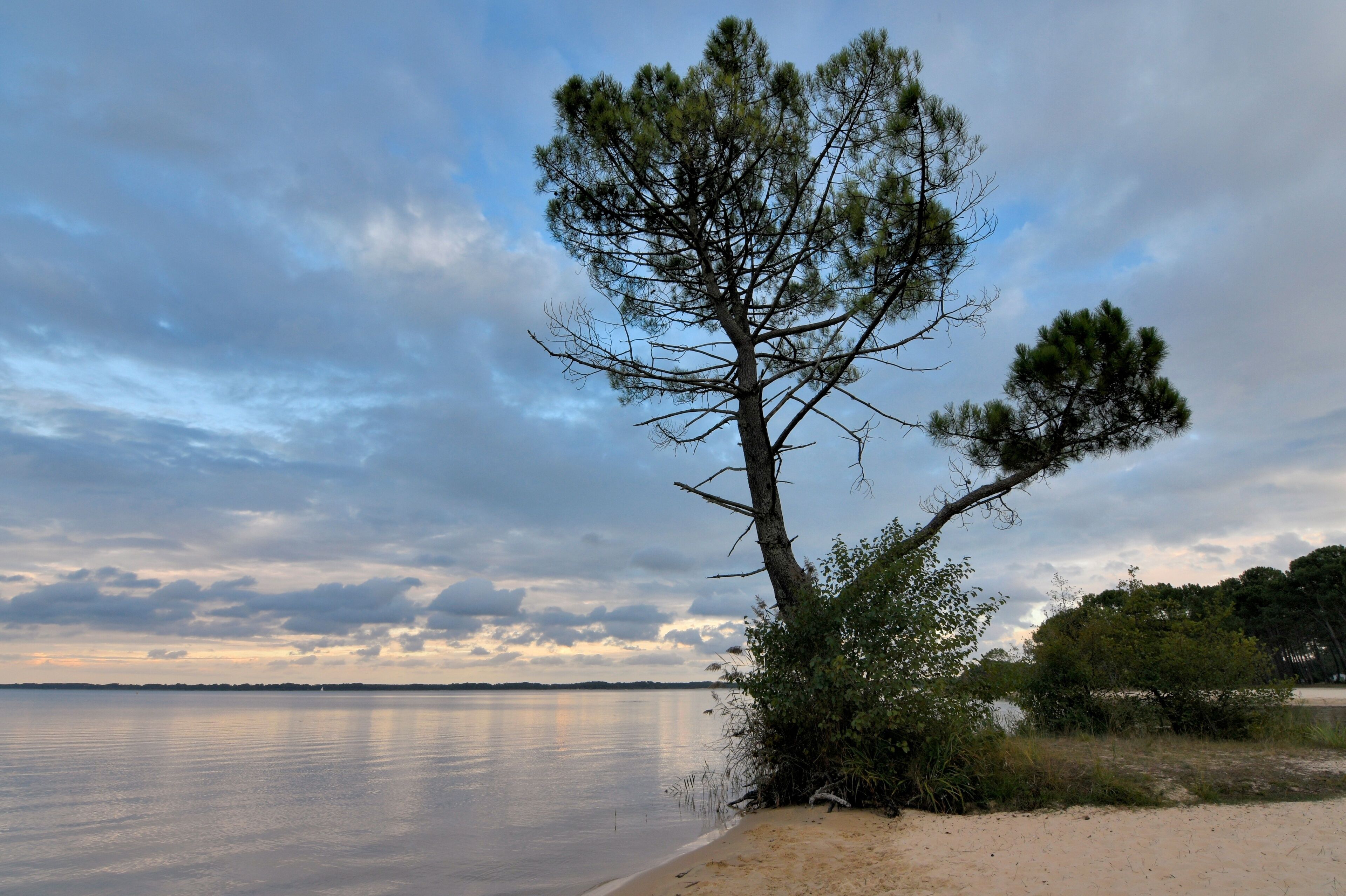 beautiful view on the lake of Cazaux in Gironde - France