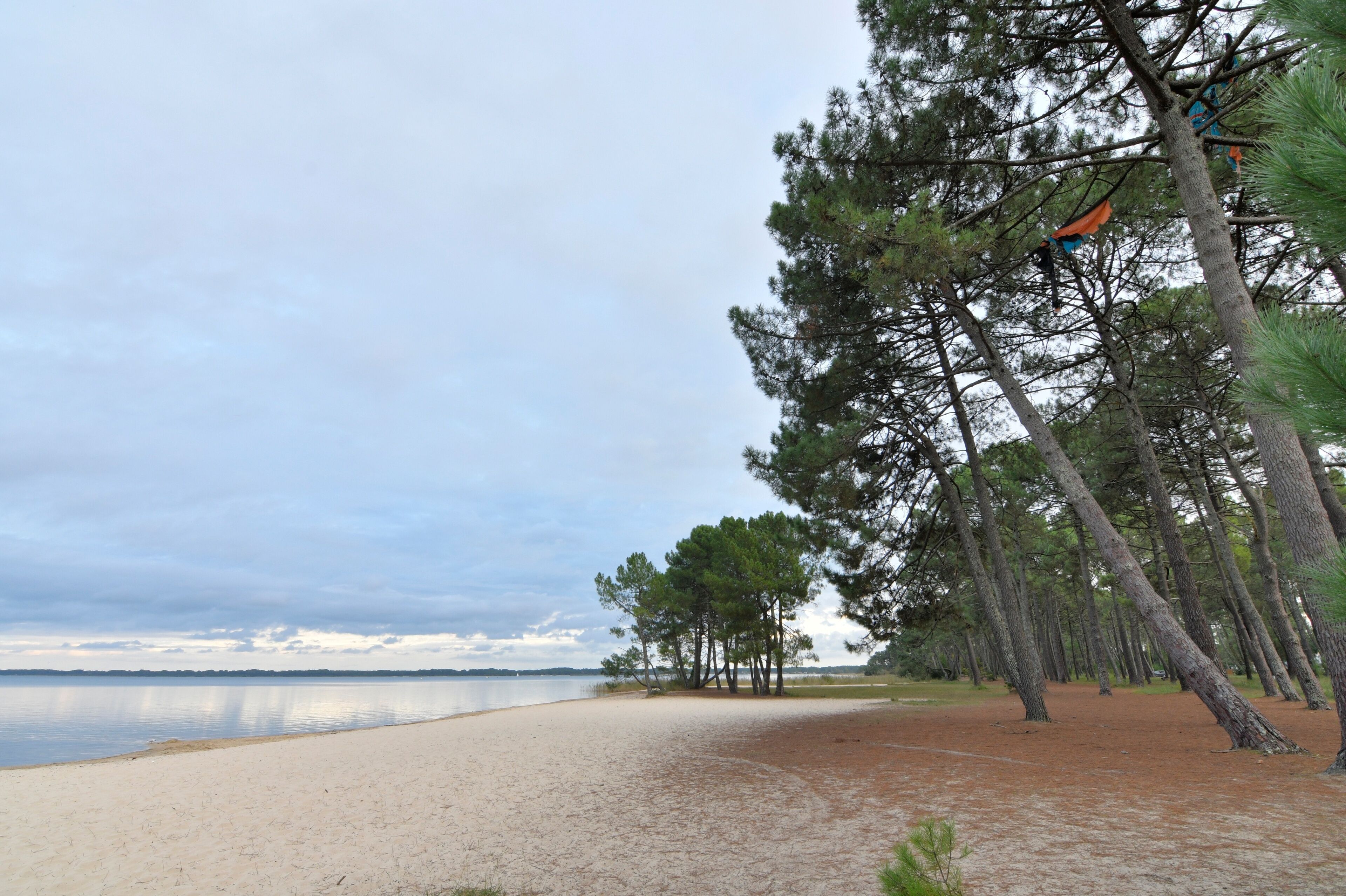 beautiful view on the lake of Cazaux in Gironde - France