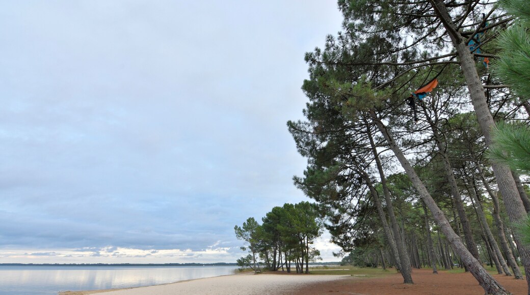 beautiful view on the lake of Cazaux in Gironde - France