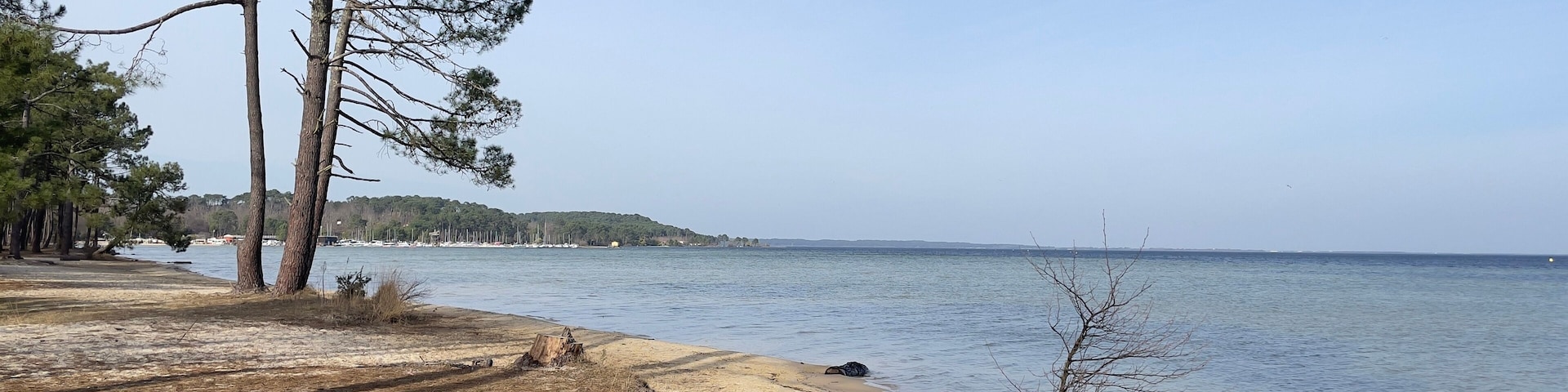 beach and trees Lac de Cazeaux Sanguinet Gascogne Aquitaine