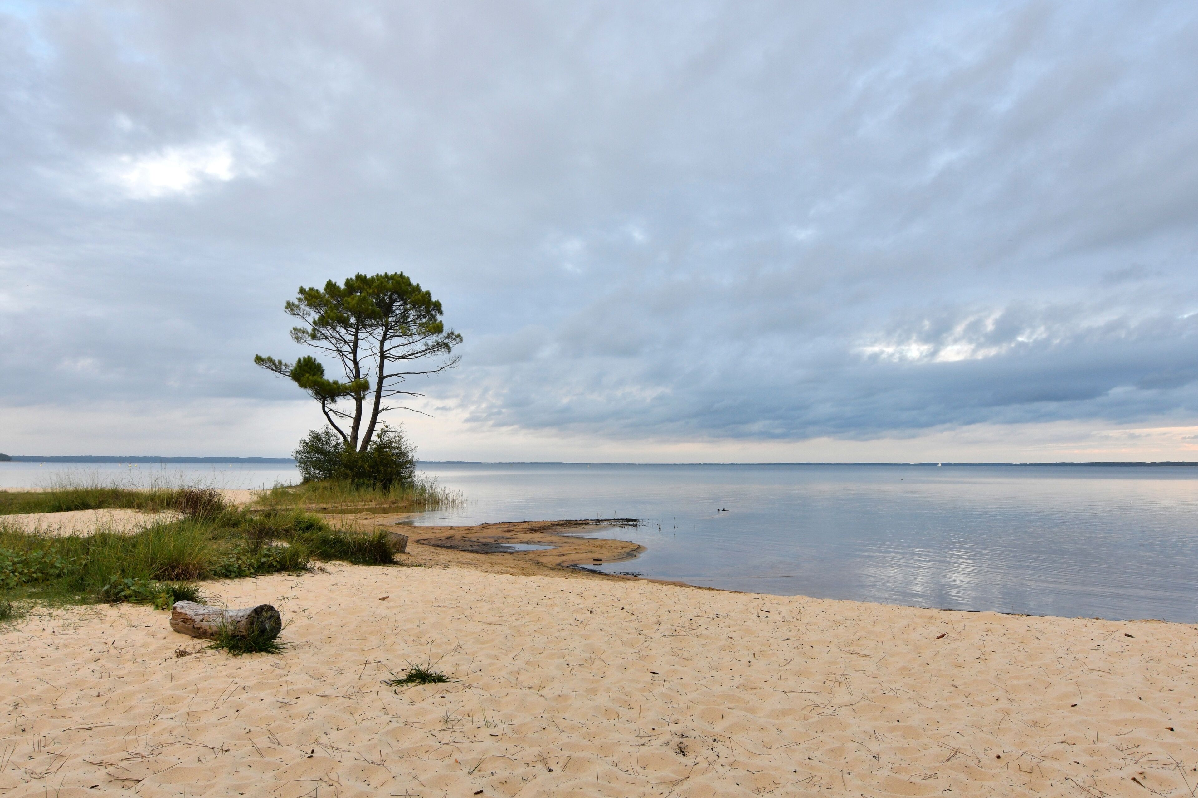 beautiful view on the lake of Cazaux in Gironde - France