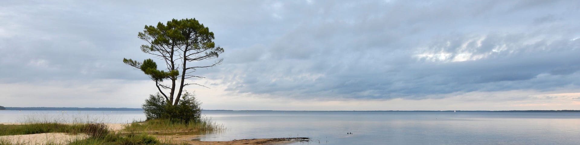 beautiful view on the lake of Cazaux in Gironde - France