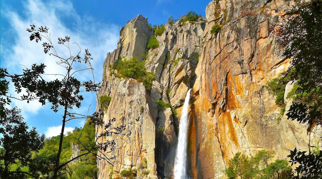 San-Gavino-di-Carbini