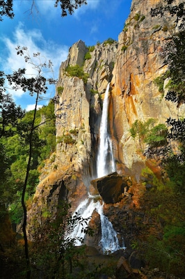 A waterfall cascading down a rocky cliff surrounded by lush greenery.