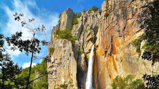 San-Gavino-di-Carbini