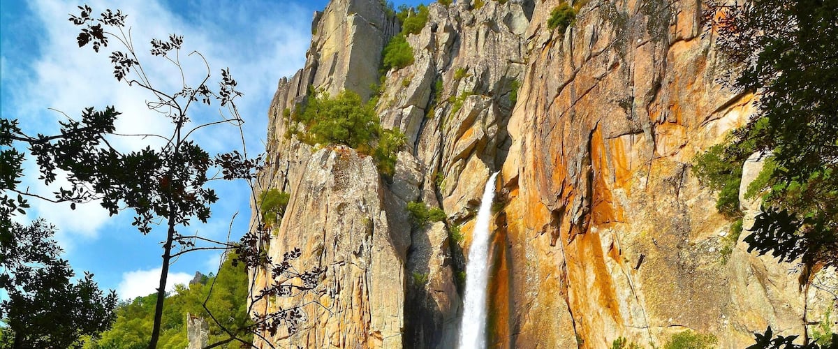 A waterfall cascading down a rocky cliff surrounded by lush greenery.