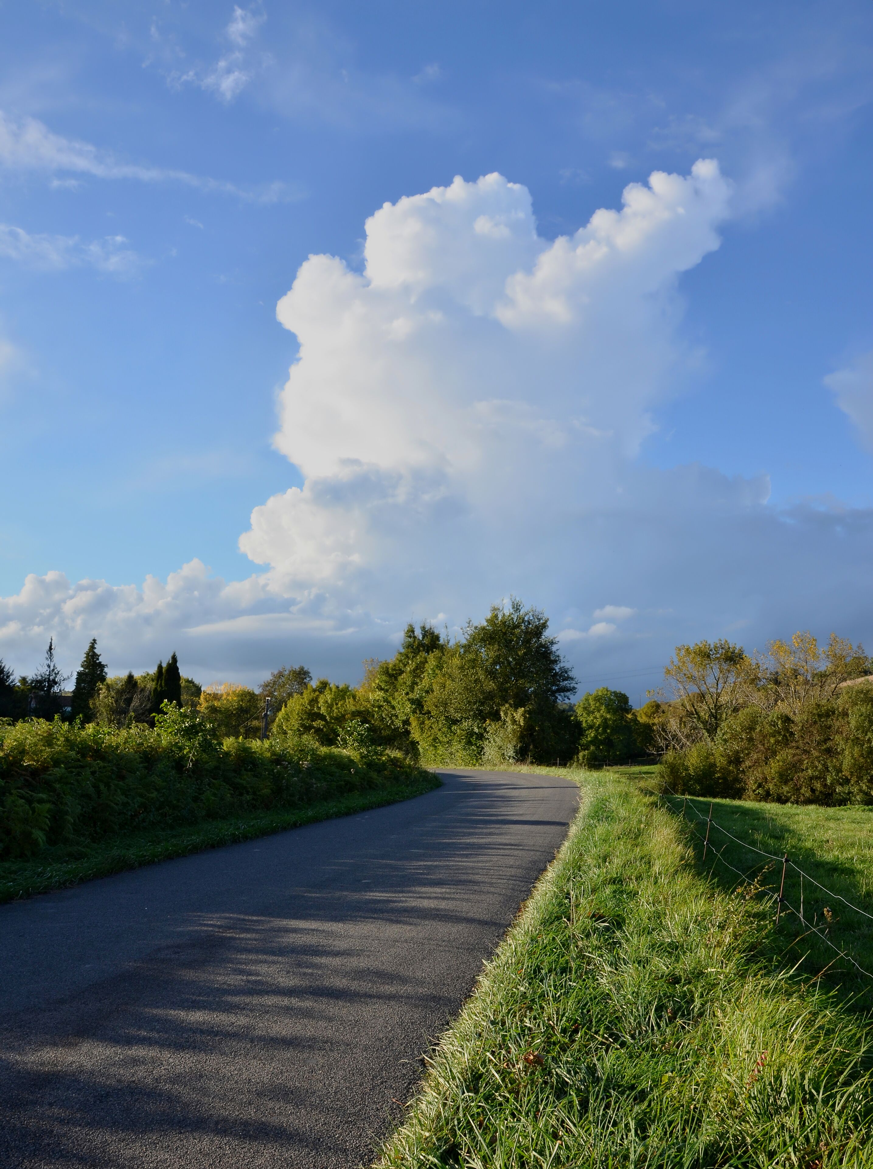 Road D 24, evening, Salles-Lavalette, Charente, France.