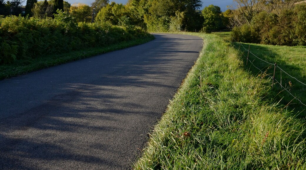 Road D 24, evening, Salles-Lavalette, Charente, France.
