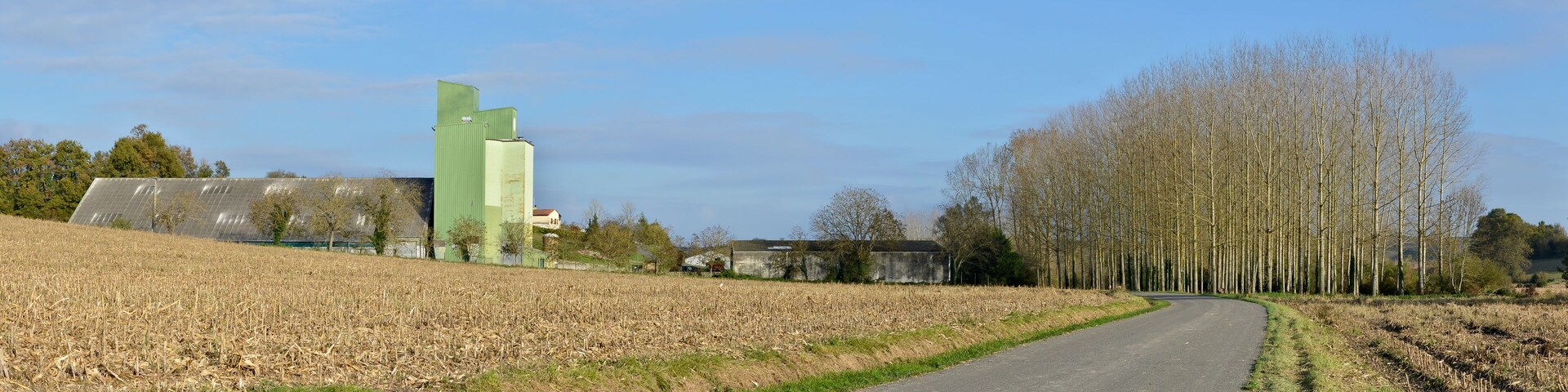 View of road D 24 with a silo and a poplar plantation, Salles-Lavalette, Charente, France.