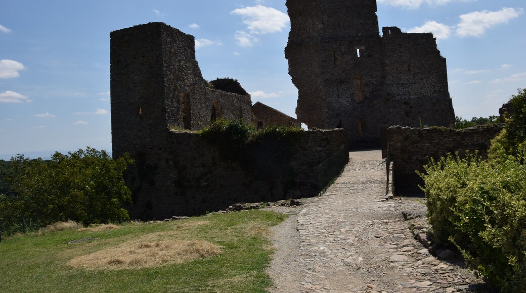 This building is indexed in the Base Mérimée, a database of architectural heritage maintained by the French Ministry of Culture, under the reference PA00102895 .