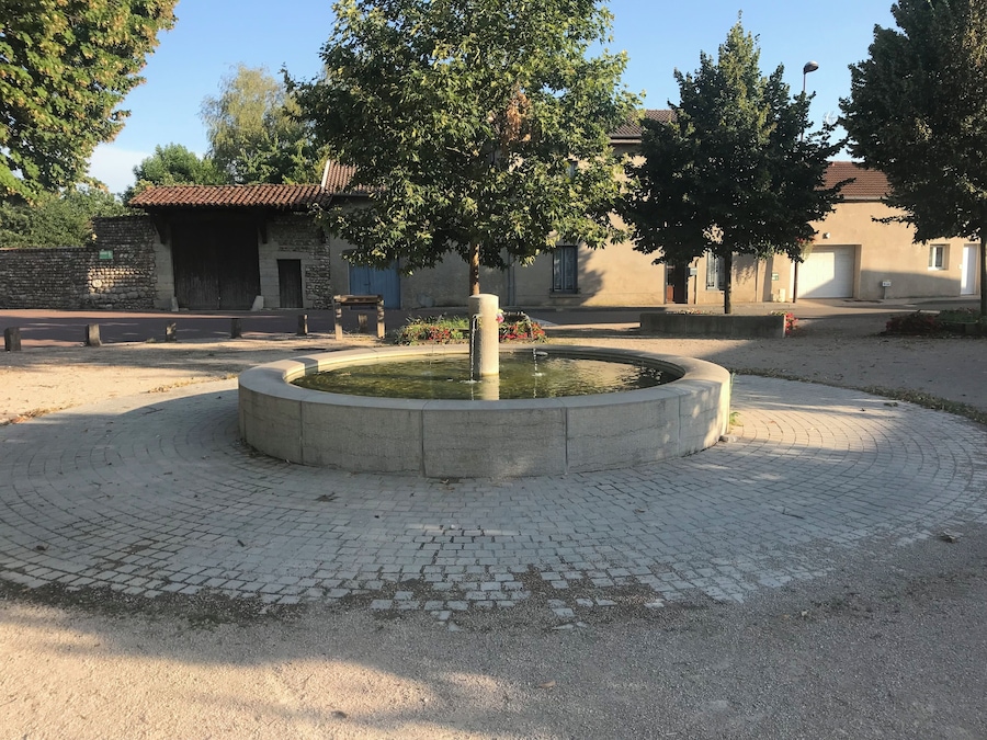A circular stone fountain with a tree in the center, surrounded by a paved area with buildings in the background.
