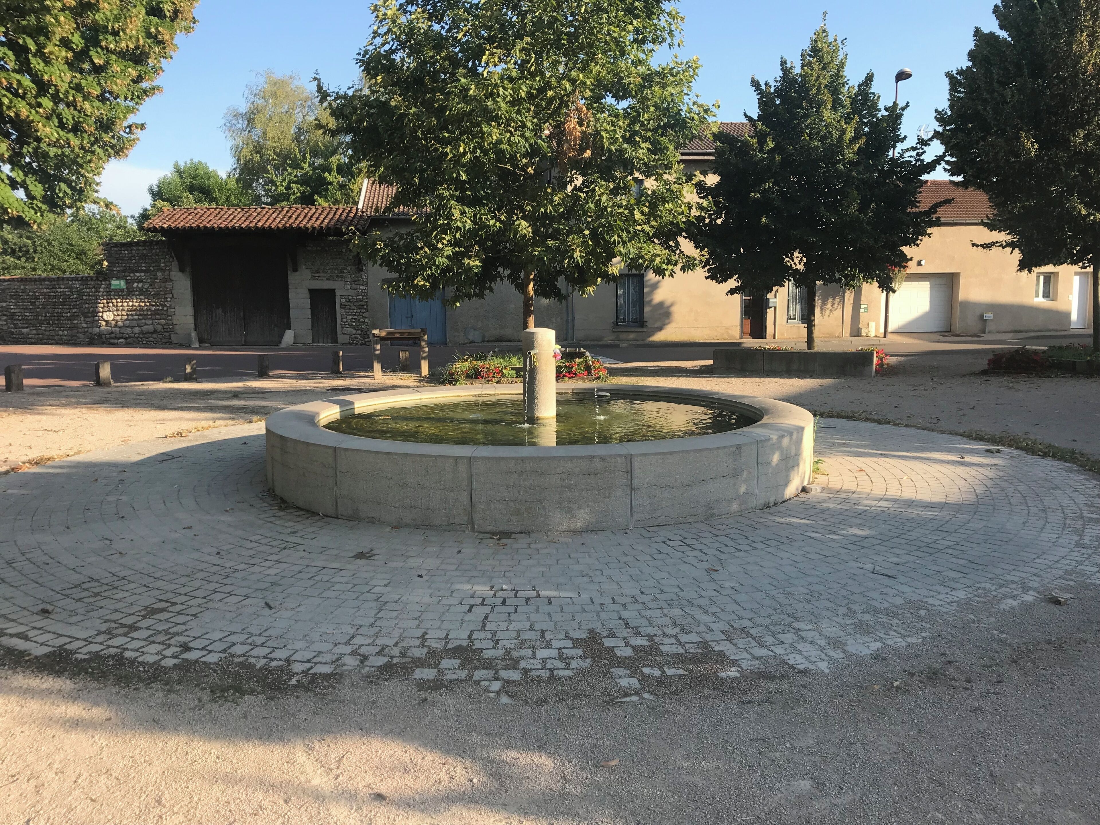 A circular stone fountain with a tree in the center, surrounded by a paved area with buildings in the background.