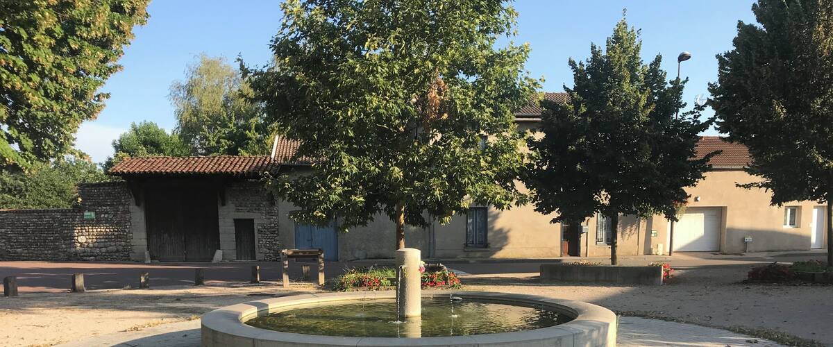 A circular stone fountain with a tree in the center, surrounded by a paved area with buildings in the background.