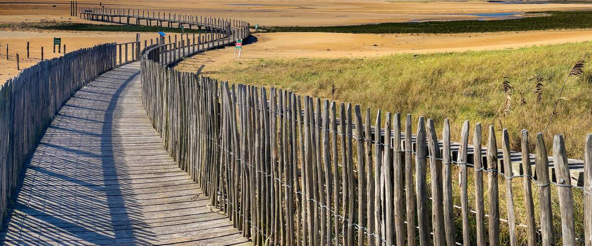 A wooden boardwalk curving through a coastal landscape with sandy dunes and grassy areas.