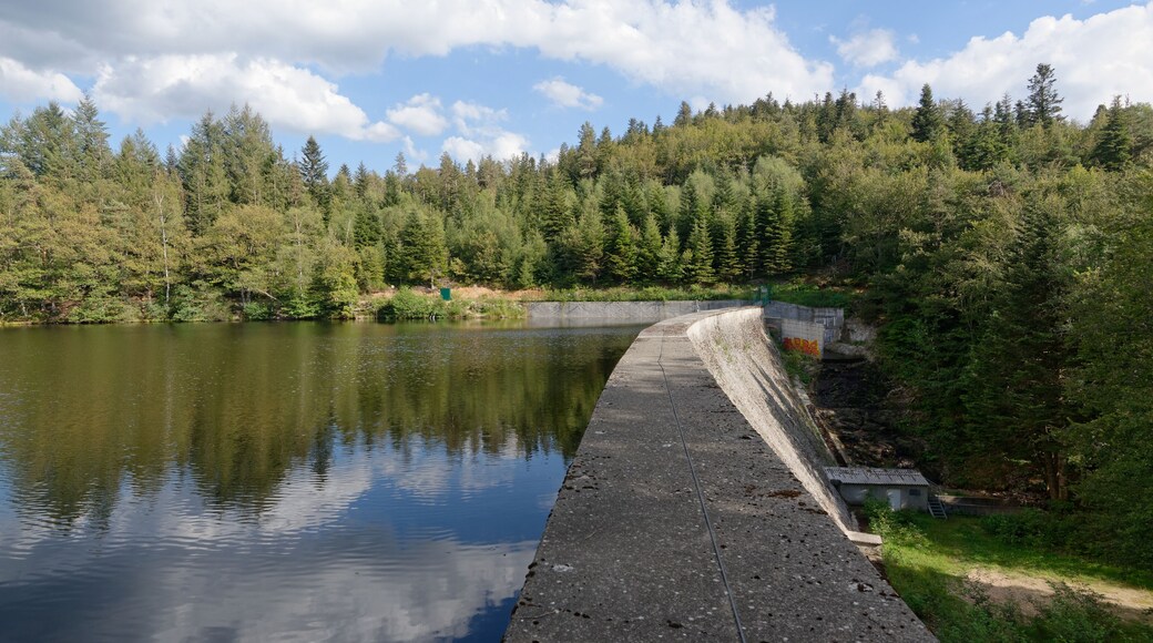 Le barrage de la Muratte, situé à la frontière des communes de Palladuc et de Saint-Victor-Montvianeix. Il sert de réserve d'eau potable pour la ville de Thiers.