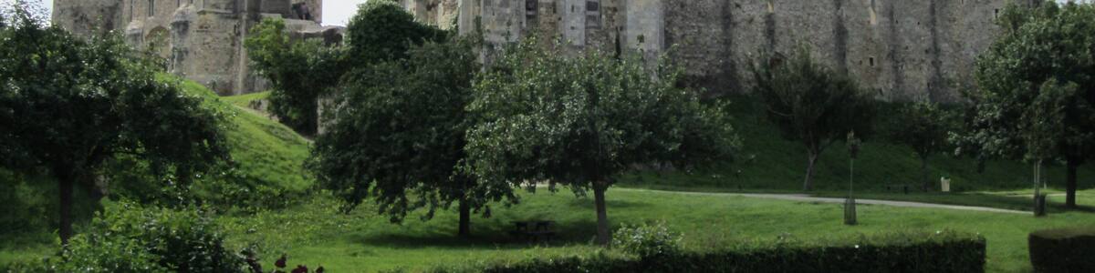 Un château historique, doté d’une tour imposante, entouré d’une végétation luxuriante et surplombé d’un ciel dégagé.