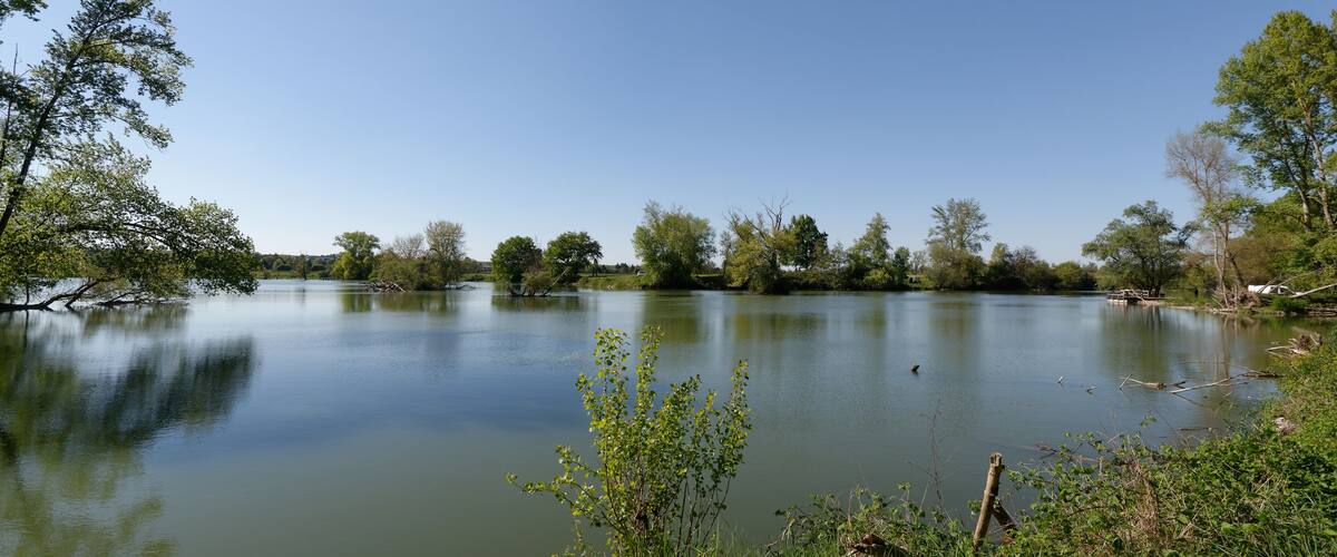 A calm lake surrounded by trees and grass.
