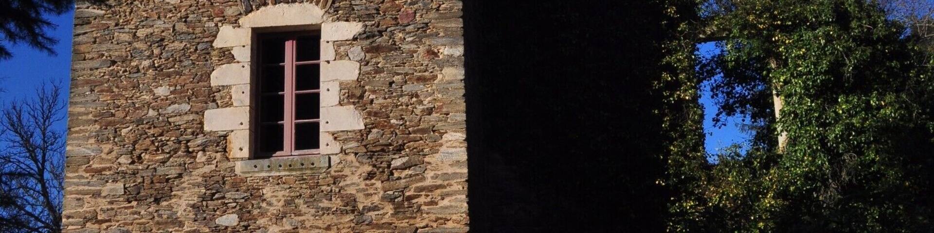 We stayed overnight in this beautiful chateau, the only guests of the lovely owners. As we were shown around the various wings of the chateau - some of which were in ruins - so many eras of history were unveiled.