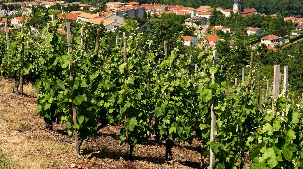 Saint-Pierre-de-Bœuf