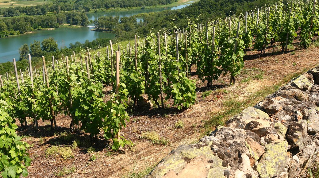 Saint-Pierre-de-Bœuf