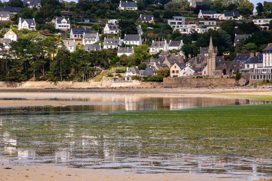 Green Algae Invasion: Ecological Concern in Saint-Michel-en-Grève, Brittany, France