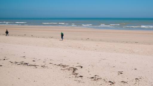 Nikon D300 with Tamron 17-50 2.8