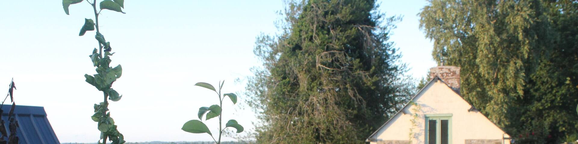 La Thiaumerie near St Lo France. This is a picture from our bedroom window looking out at the French countryside. A great little B&B run by a bilingual English couple. We used this as a base to explore the Normandy Beach area as my wife traced her father's D-day exploits.