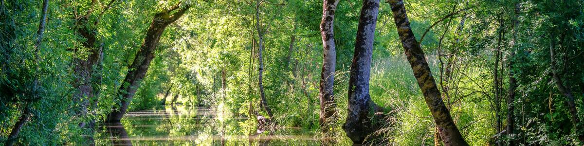 Water canal in the Green Venice in the Marais Poitevin, France