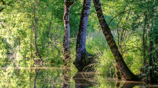 Saint-Jean-de-Liversay