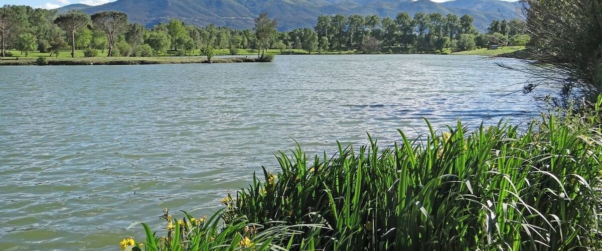 A calm lake with mountains in the background and lush greenery along the shore.
