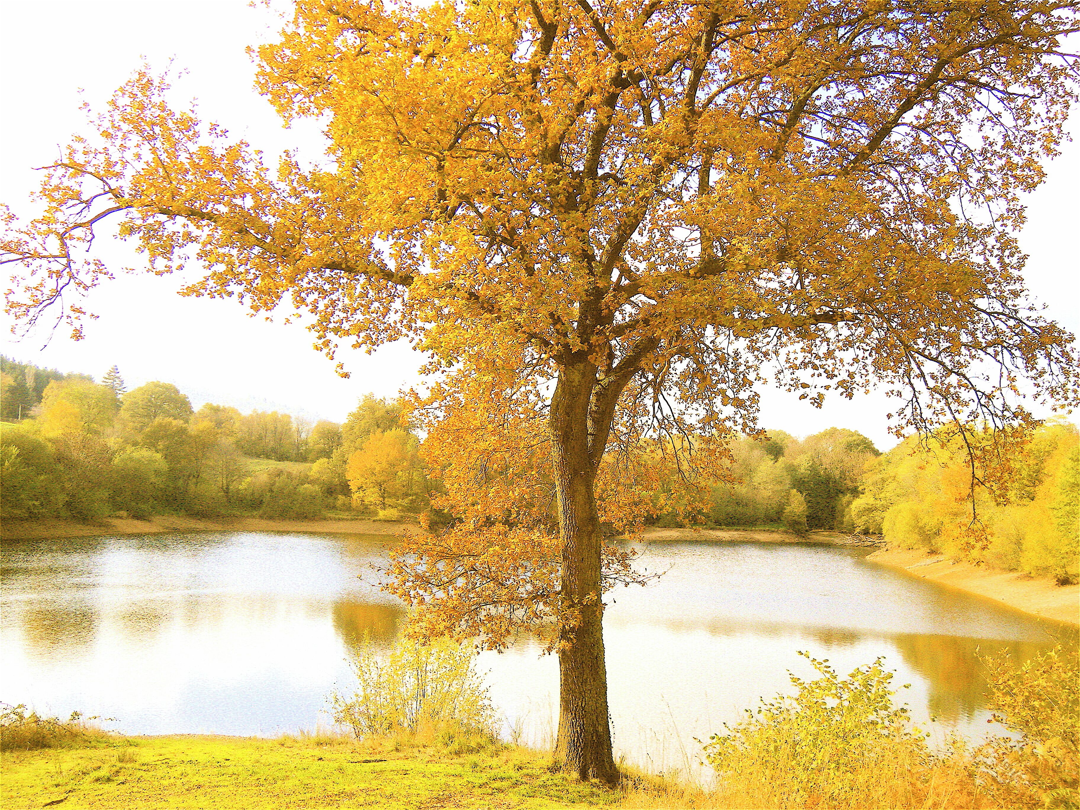 63700 Saint-Éloy-les-Mines, France