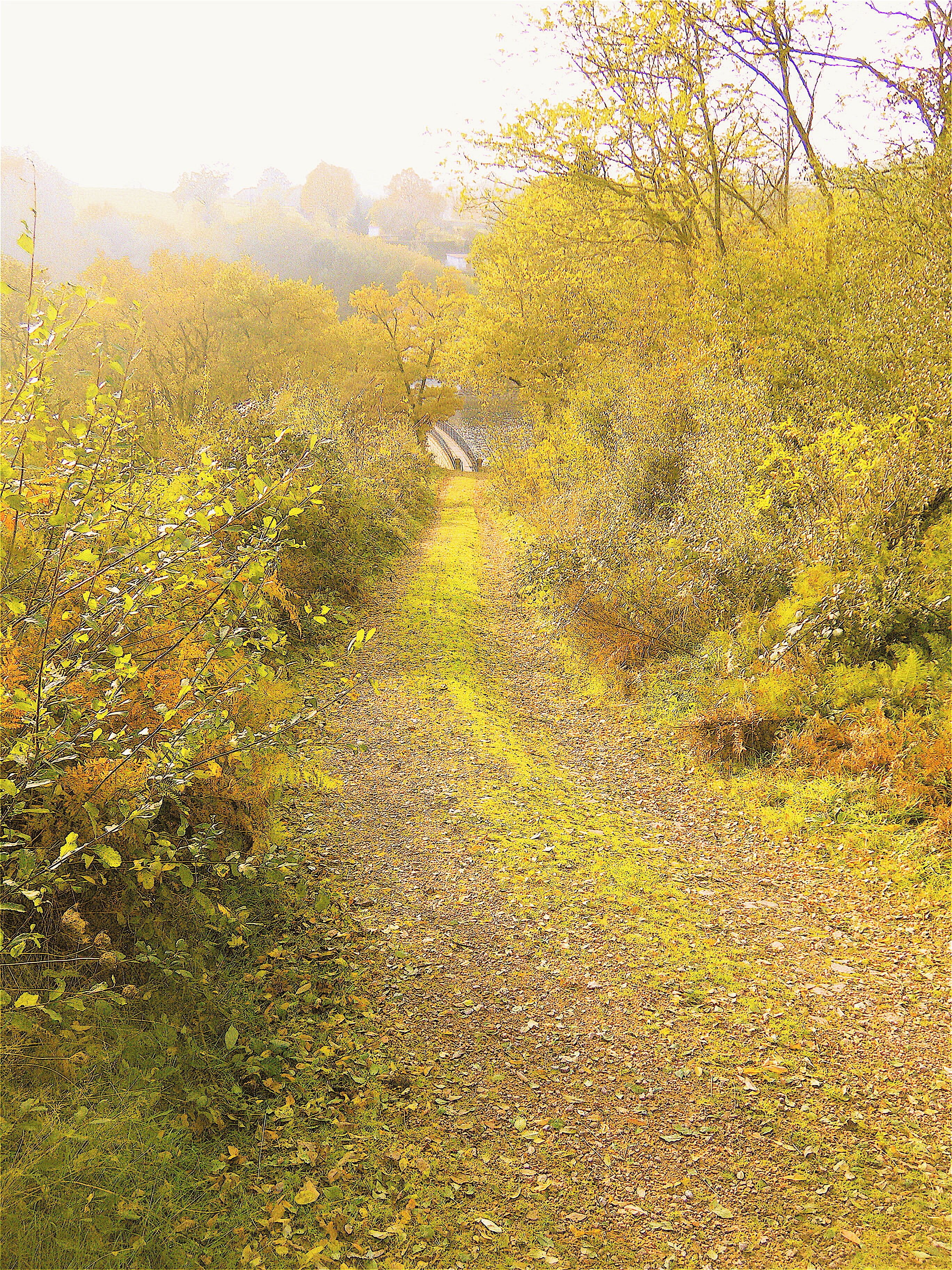 63700 Saint-Éloy-les-Mines, France
