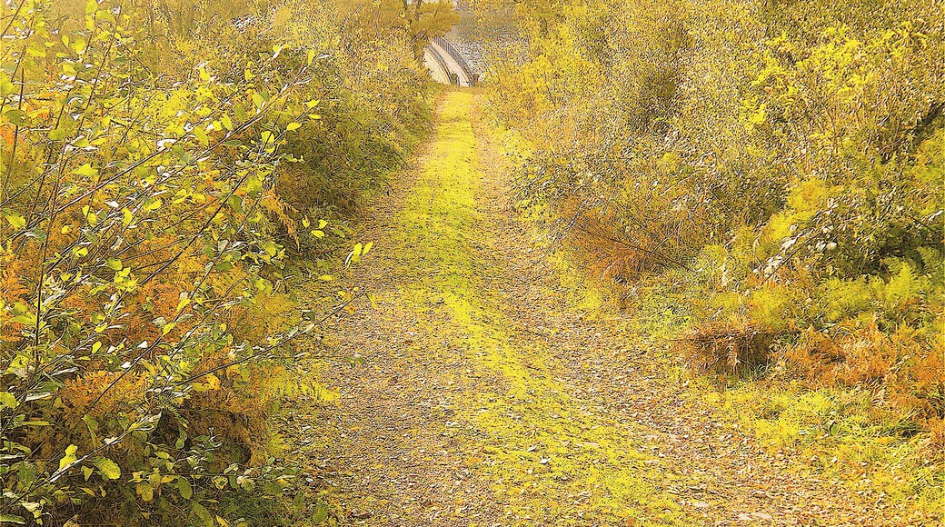 63700 Saint-Éloy-les-Mines, France