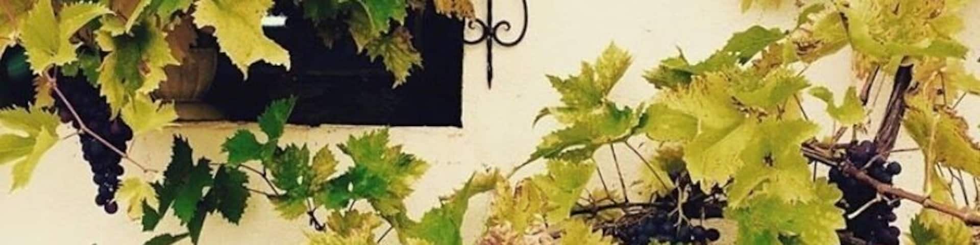 Antiques shopping in the country đđČ