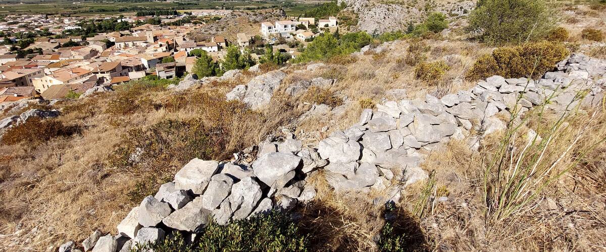 A rural landscape with a stone wall, dry grass, and scattered trees.