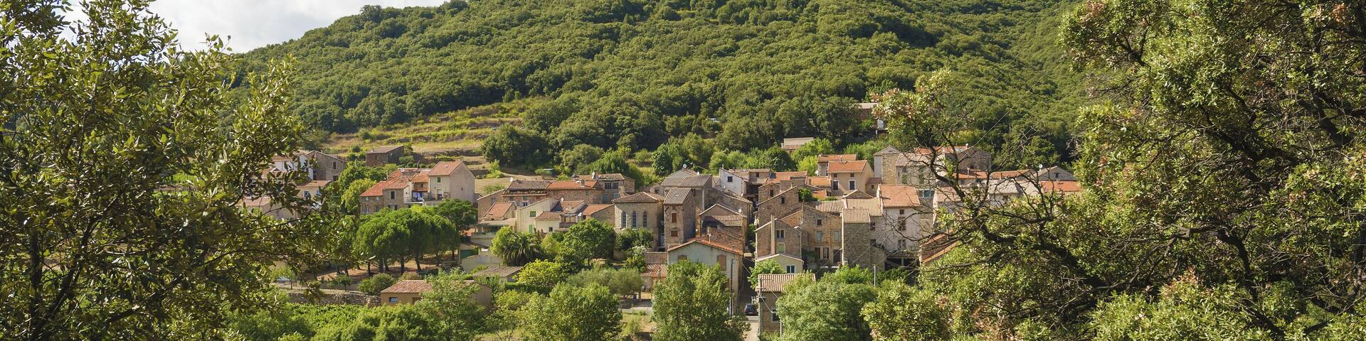 Hamlet of Ceps. Roquebrun, Hérault, France. Haut-Languedoc Regional Natural Park.