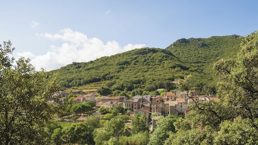 Hamlet of Ceps. Roquebrun, Hérault, France. Haut-Languedoc Regional Natural Park.