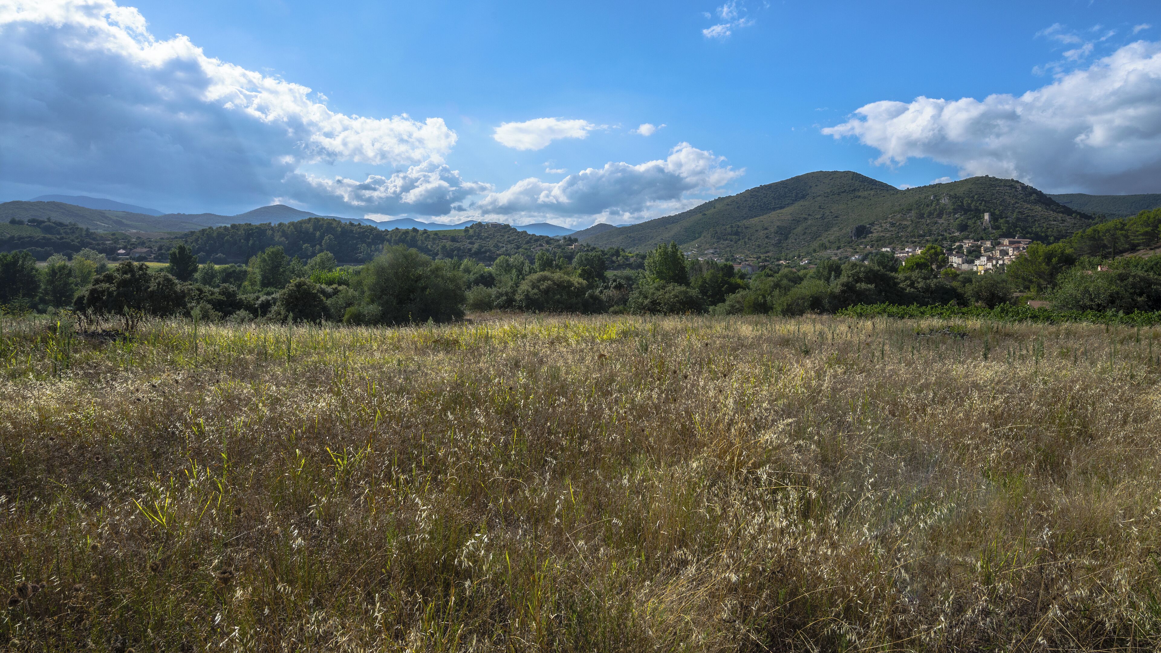 The Orb Valley and a part of the village of Roquebrun, Hérault, France. Haut-Languedoc Regional Natural Park.