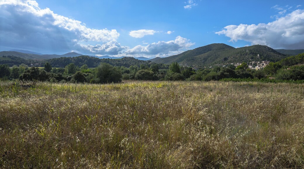 The Orb Valley and a part of the village of Roquebrun, Hérault, France. Haut-Languedoc Regional Natural Park.