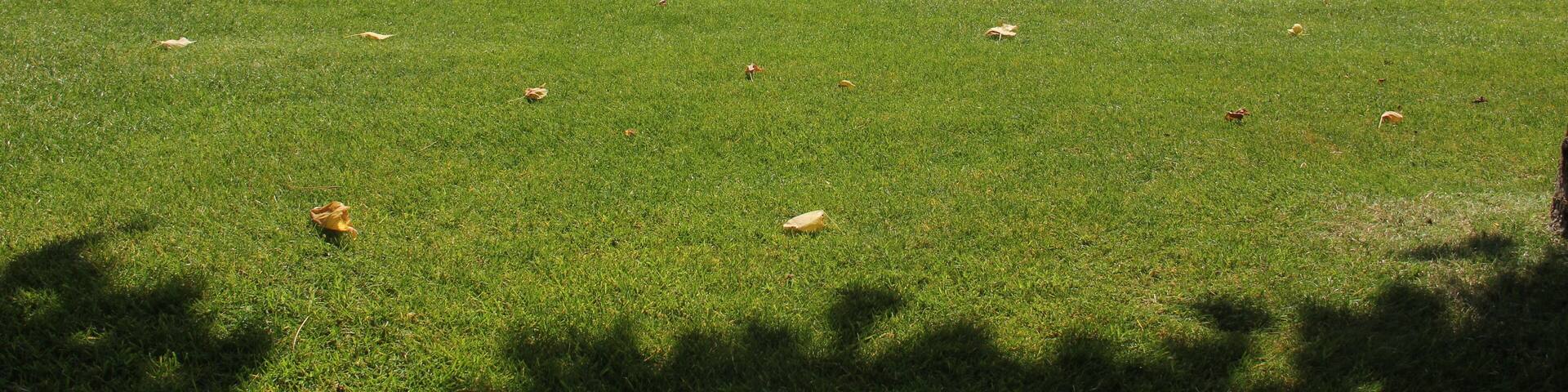 Meuse-Argonne American Cemetery