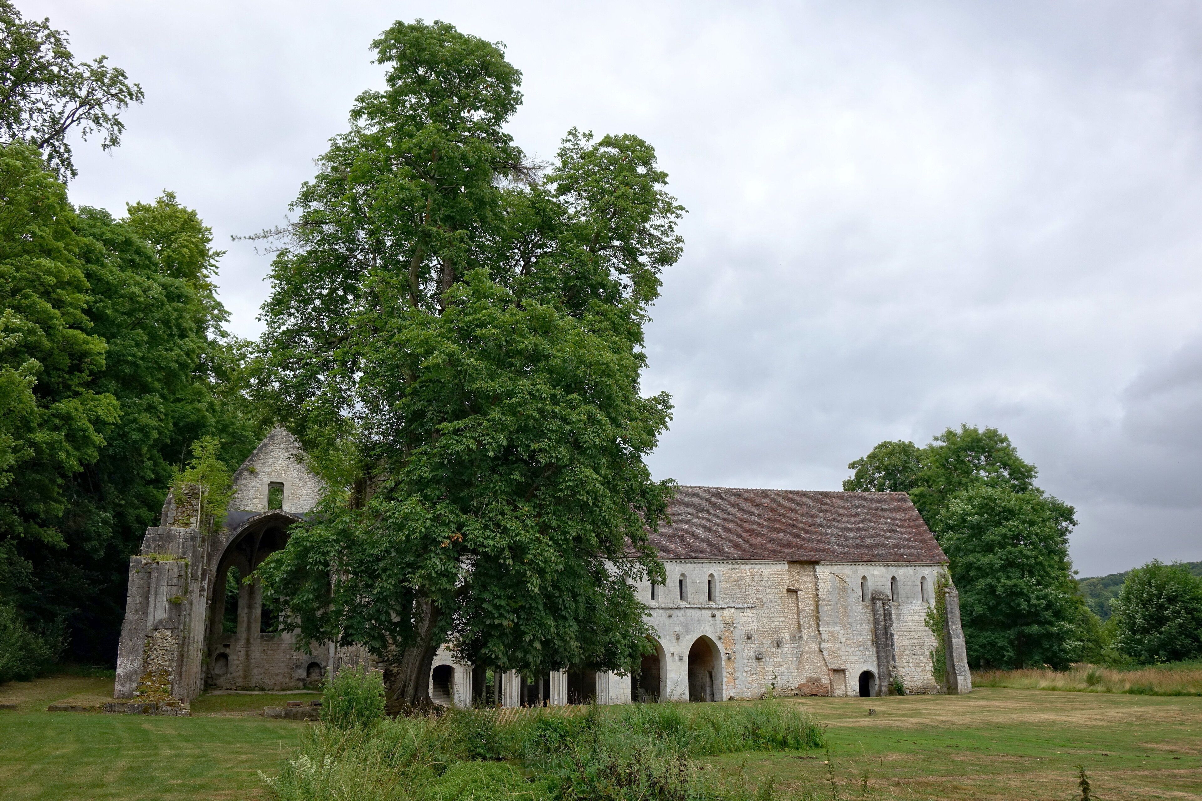 An old stone church with a large tree in front.
