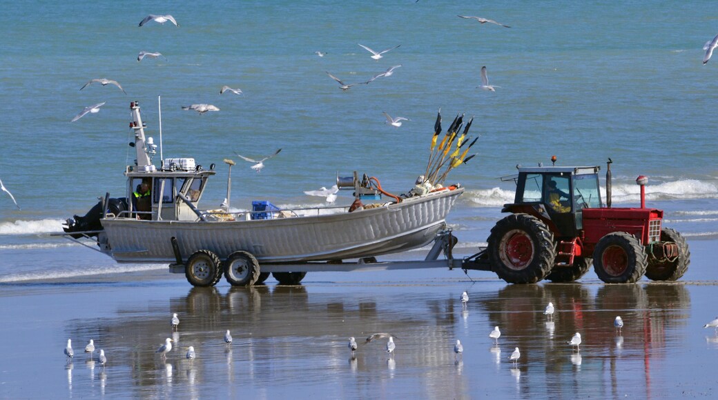 ํด๋ฒ ๋ฅด๋น