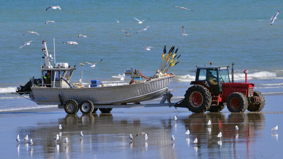 A boat being towed by a tractor on a beach with seagulls.