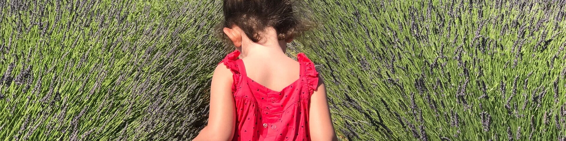 Somewhere in the middle of Provence.