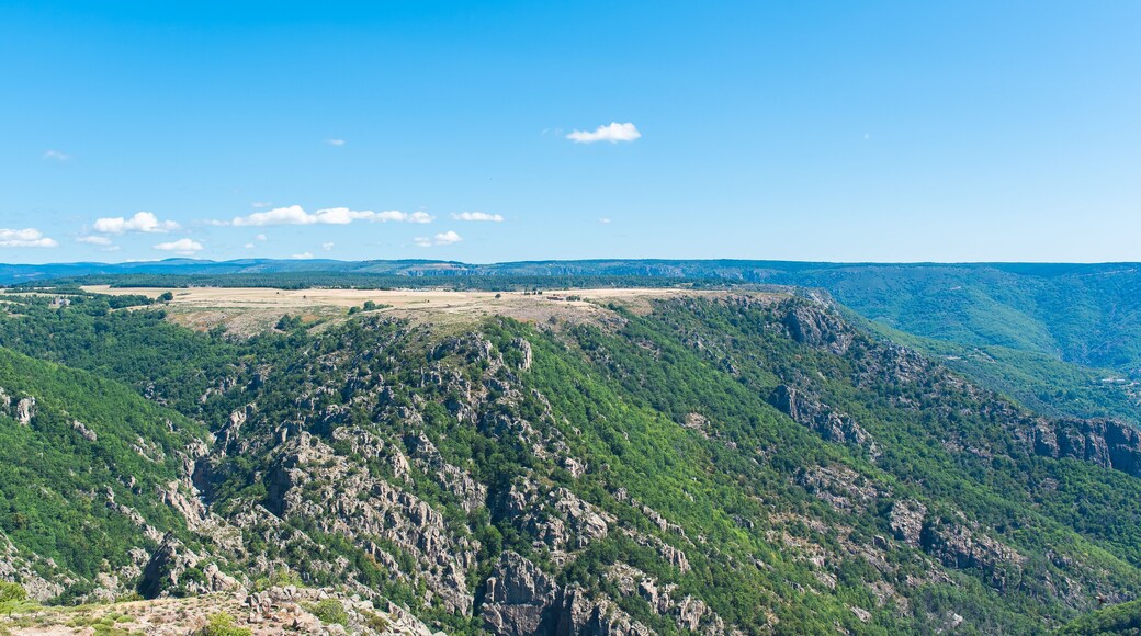 ํ๋ ๋ฐฉ์
ฐ๋ฅด