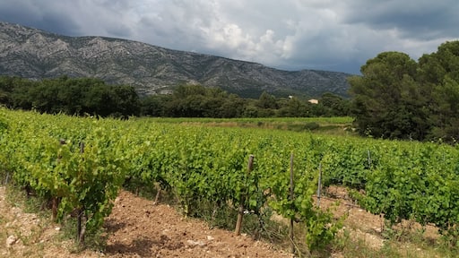Château Maupague, Grand Site Sainte-Victoire (Bouches-du-Rhône, France)