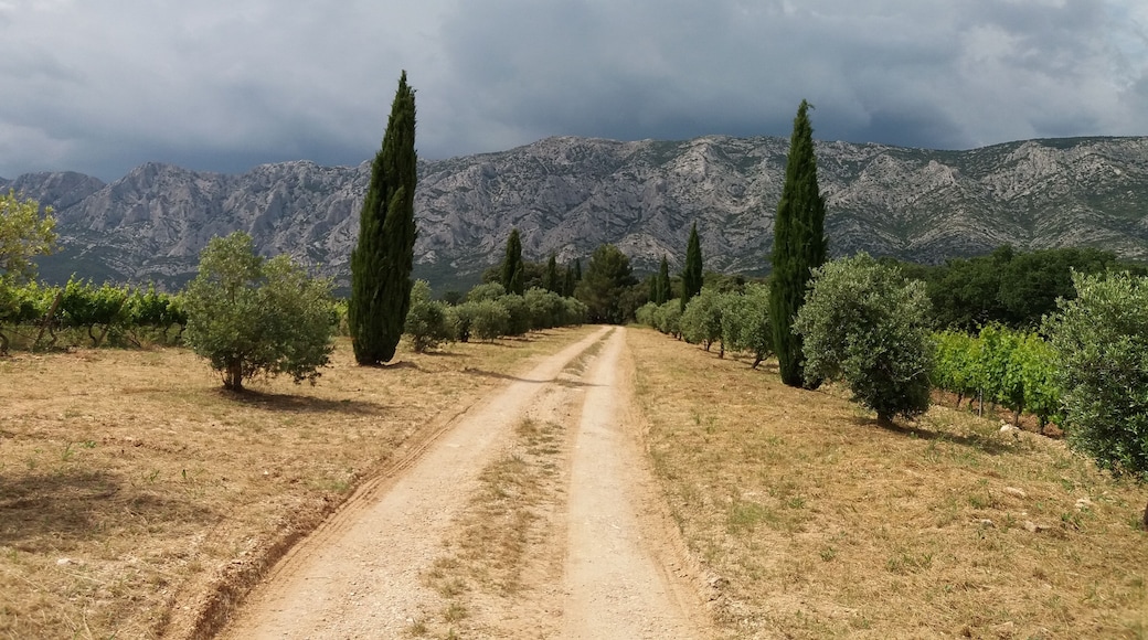 ChĂąteau Maupague, Grand Site Sainte-Victoire (Bouches-du-RhĂŽne, France)
