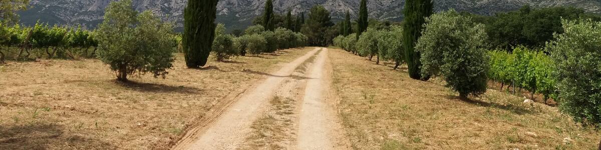 Château Maupague, Grand Site Sainte-Victoire (Bouches-du-Rhône, France)